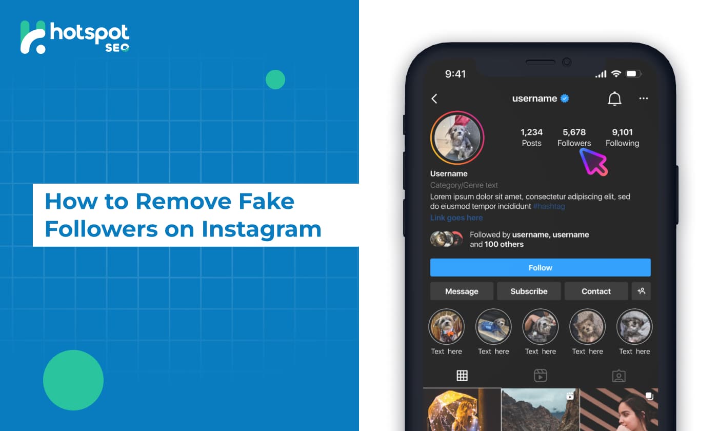 Fake Followers on Instagram